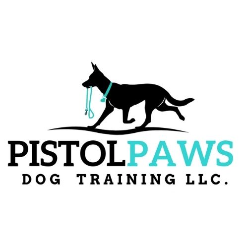 dog training logo design teal